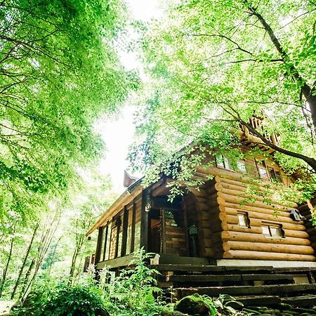 小谷村 Sunnsnow Loghouseヴィラ エクステリア 写真
